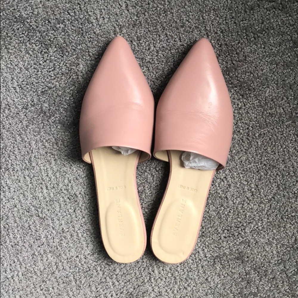 Everlane Pointed Slide